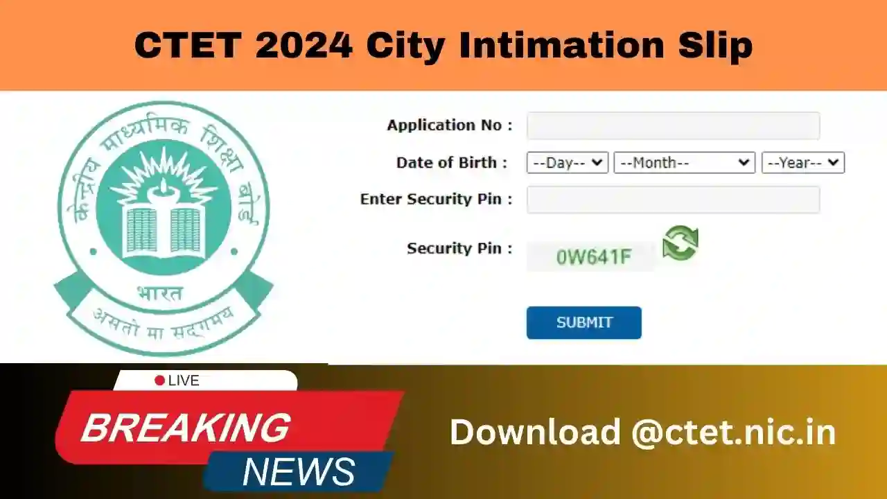 CTET 2024 City Intimation Slip